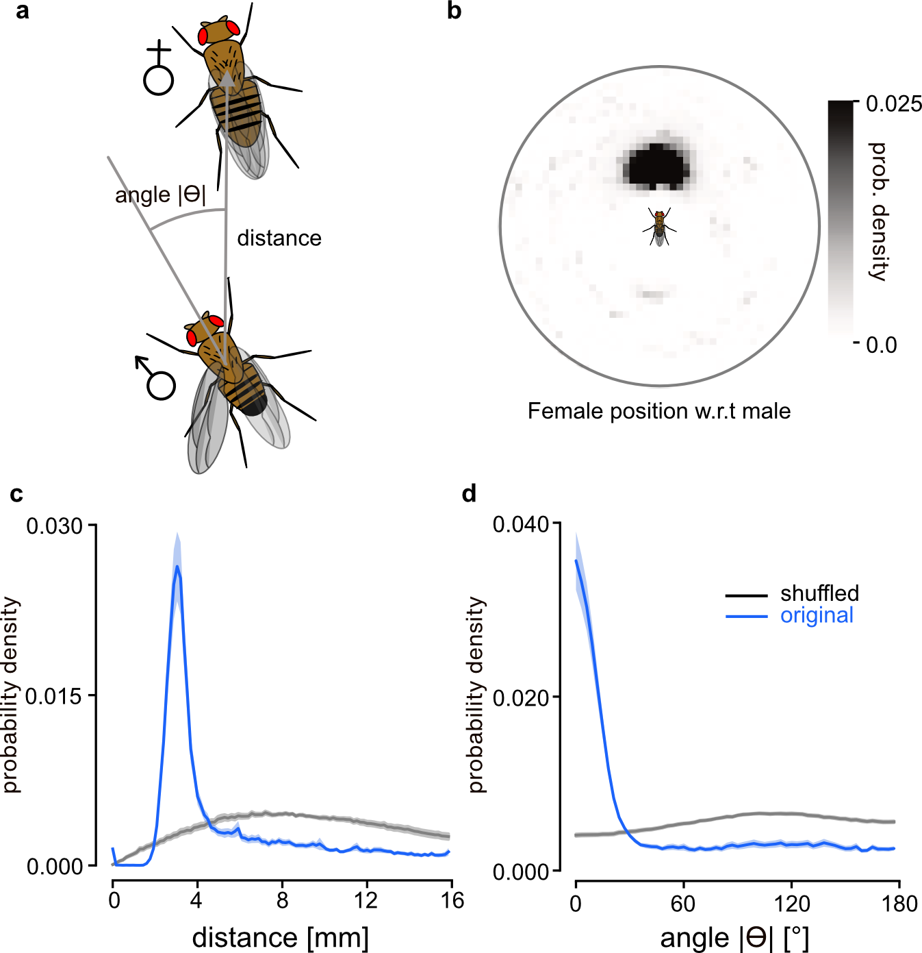 example image